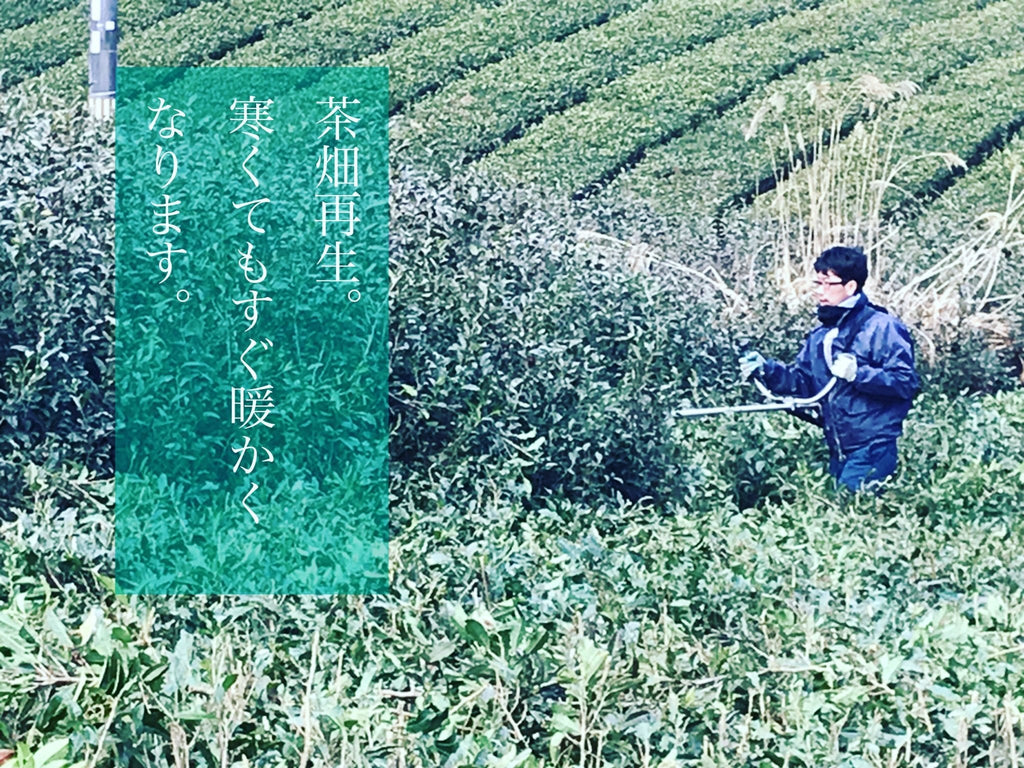 茶畑再生 - 悠三堂 / Yusando Online Store