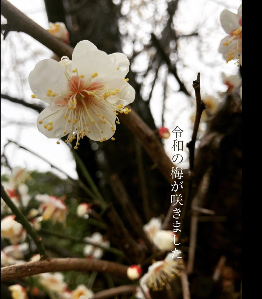 【お初】 - 悠三堂 / Yusando Online Store