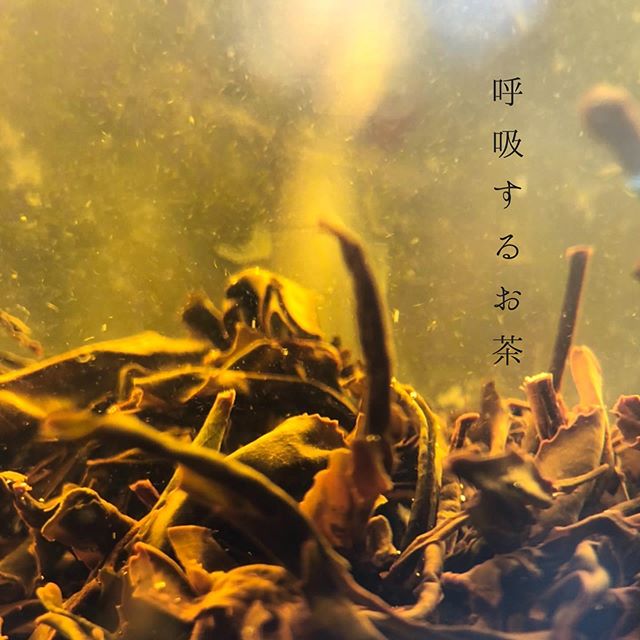 【紅茶作り】... - 悠三堂 / Yusando Online Store