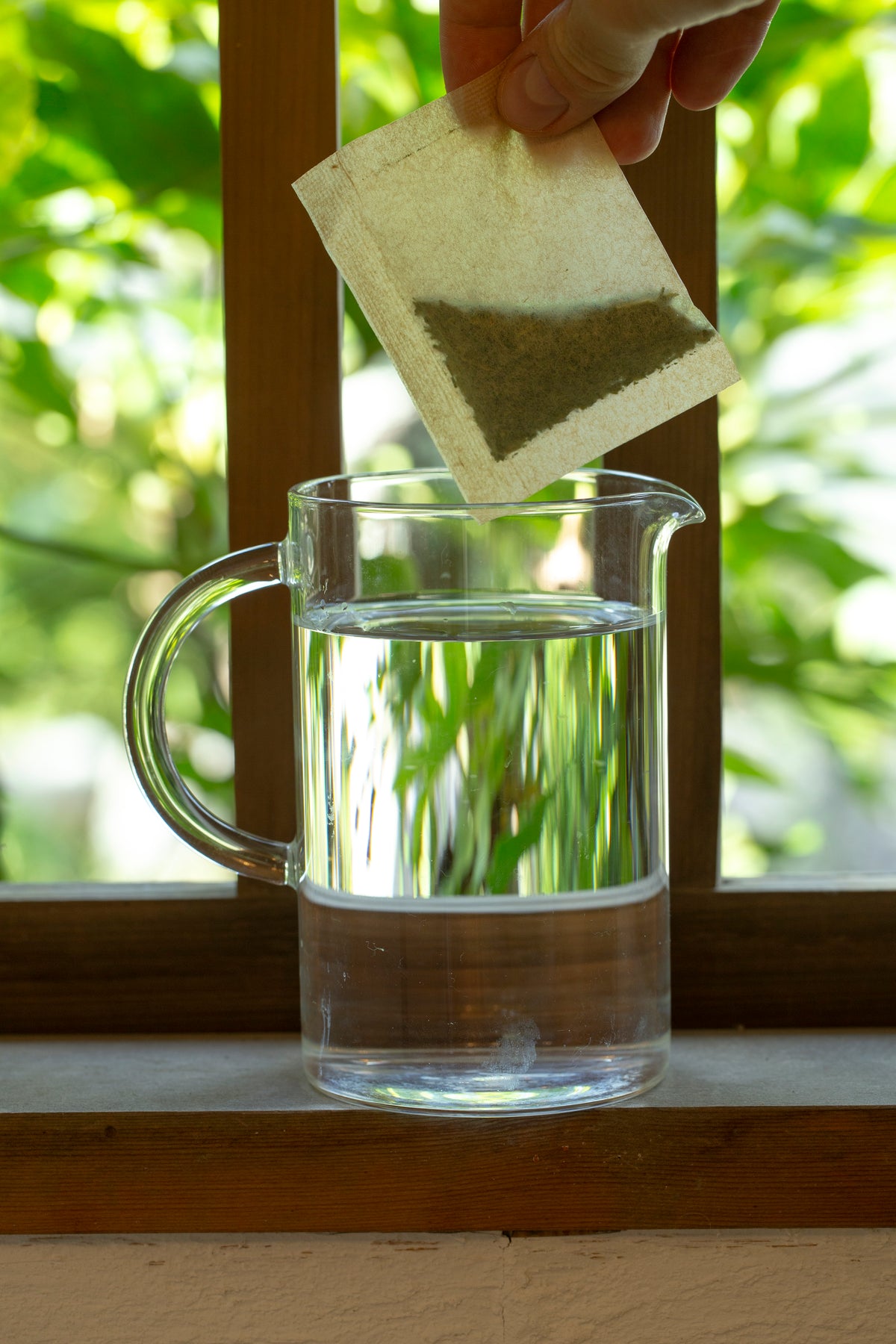 奈良・奥大和の自然栽培 煎茶 ティーバッグ 4g×50P